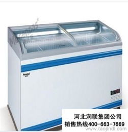 山东冷饮冰柜大型冷柜重庆厂家价格价格 厂家 图片